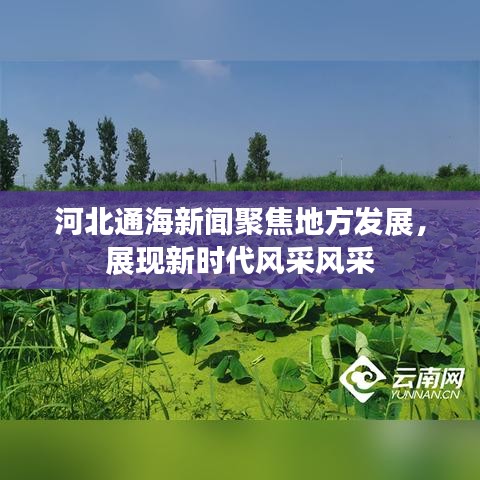 河北通海新聞聚焦地方發(fā)展，展現(xiàn)新時代風采風采