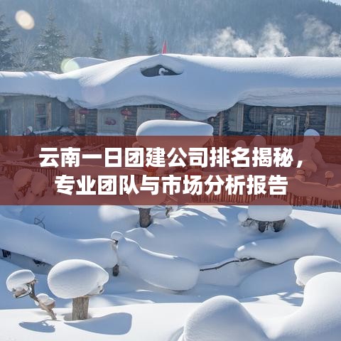云南一日團建公司排名揭秘，專業(yè)團隊與市場分析報告