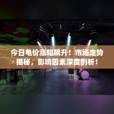 今日龜價(jià)漲幅飆升！市場(chǎng)走勢(shì)揭秘，影響因素深度剖析！