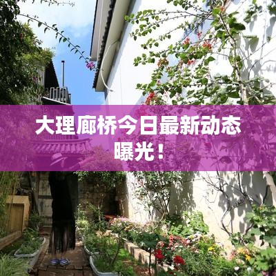 大理廊橋今日最新動態(tài)曝光！
