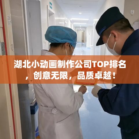 湖北小動畫制作公司TOP排名，創(chuàng)意無限，品質(zhì)卓越！