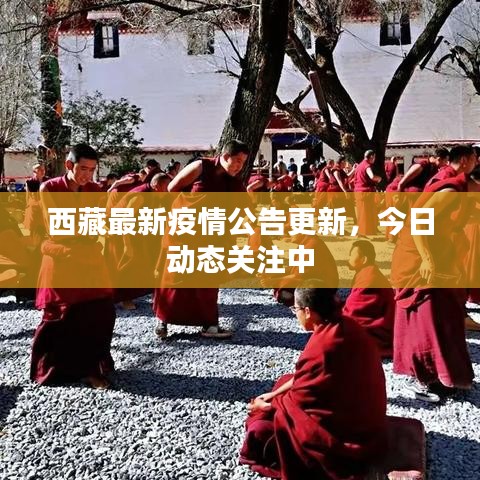 西藏最新疫情公告更新，今日動(dòng)態(tài)關(guān)注中