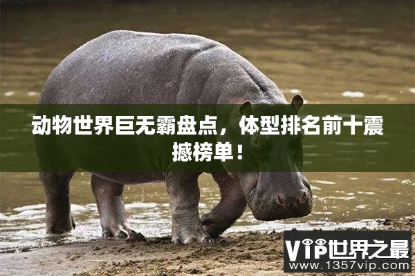動物世界巨無霸盤點，體型排名前十震撼榜單！