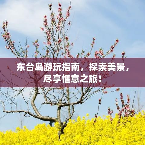 東臺島游玩指南，探索美景，盡享愜意之旅！