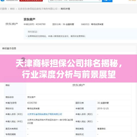 天津商標(biāo)擔(dān)保公司排名揭秘，行業(yè)深度分析與前景展望