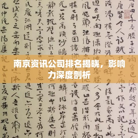 南京資訊公司排名揭曉，影響力深度剖析