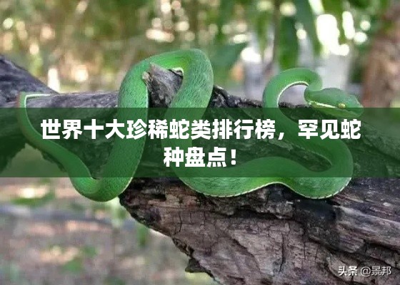梨花帶雨 第2頁