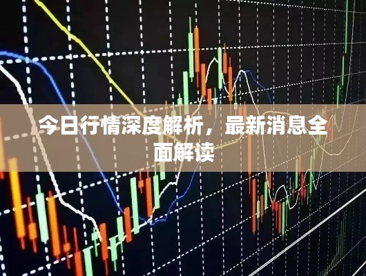 今日行情深度解析，最新消息全面解讀