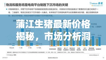 蒲江生豬最新價格揭秘，市場分析洞察與趨勢預測