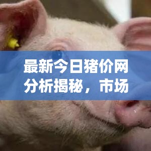 風華絕代 第2頁