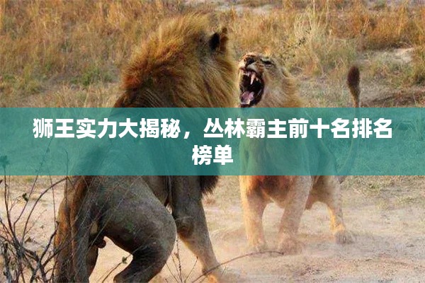 獅王實力大揭秘，叢林霸主前十名排名榜單