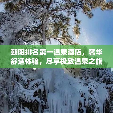 朝陽排名第一溫泉酒店，奢華舒適體驗，盡享極致溫泉之旅