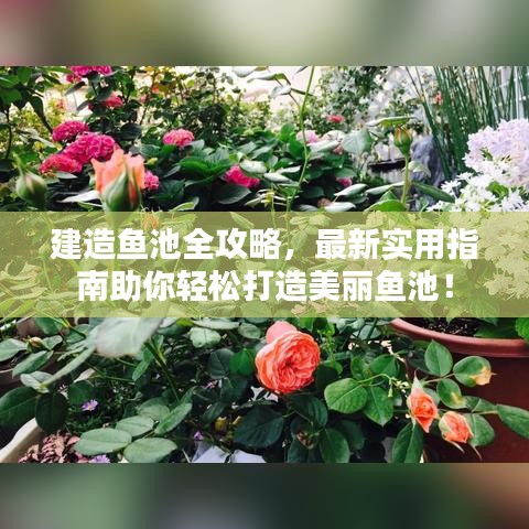 建造魚池全攻略，最新實(shí)用指南助你輕松打造美麗魚池！