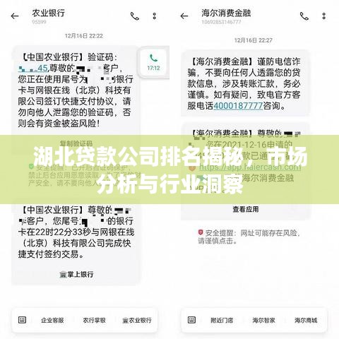 湖北貸款公司排名揭秘，市場(chǎng)分析與行業(yè)洞察