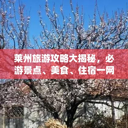 萊州旅游攻略大揭秘，必游景點(diǎn)、美食、住宿一網(wǎng)打盡！