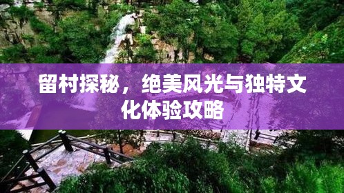 一張一弛 第2頁(yè)