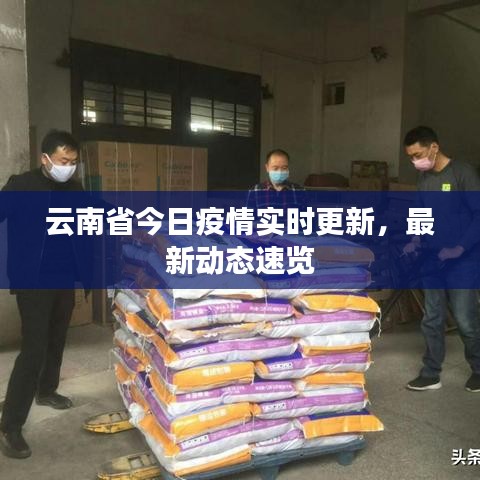 云南省今日疫情實(shí)時(shí)更新，最新動(dòng)態(tài)速覽