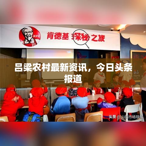 呂梁農(nóng)村最新資訊，今日頭條報(bào)道