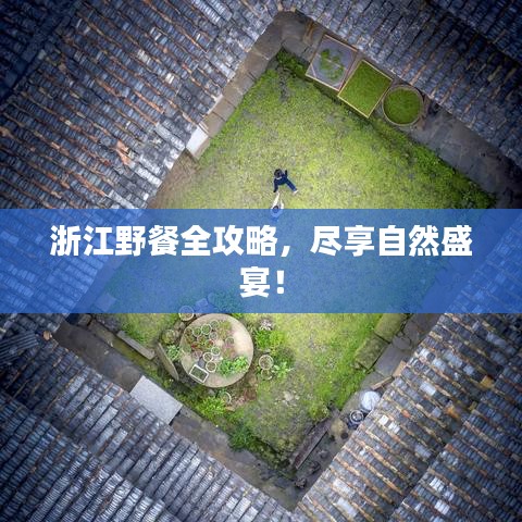 浙江野餐全攻略，盡享自然盛宴！