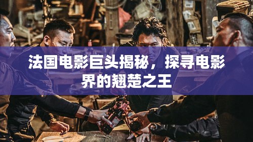 法國電影巨頭揭秘，探尋電影界的翹楚之王
