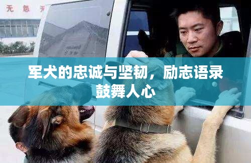 張皇失措 第2頁