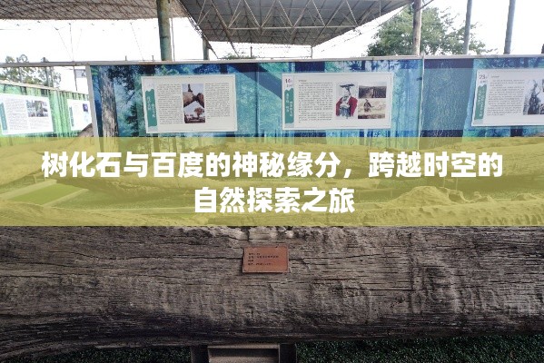 五侯七貴 第2頁(yè)