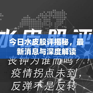 今日水皮股評揭秘，最新消息與深度解讀