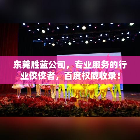 東莞勝藍公司，專業(yè)服務的行業(yè)佼佼者，百度權(quán)威收錄！