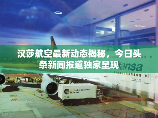 漢莎航空最新動態(tài)揭秘，今日頭條新聞報道獨家呈現(xiàn)