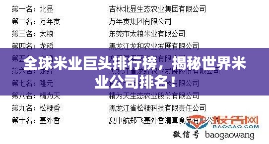 全球米業(yè)巨頭排行榜，揭秘世界米業(yè)公司排名！