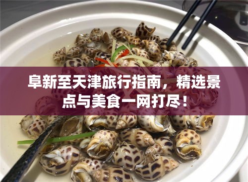 阜新至天津旅行指南，精選景點(diǎn)與美食一網(wǎng)打盡！