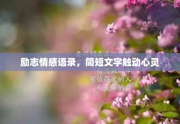 勵志情感語錄，簡短文字觸動心靈