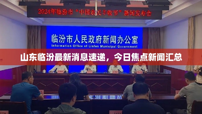 山東臨汾最新消息速遞，今日焦點(diǎn)新聞匯總