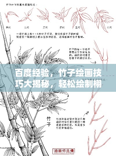 百度經(jīng)驗(yàn)，竹子繪畫技巧大揭秘，輕松繪制栩栩如生竹葉圖