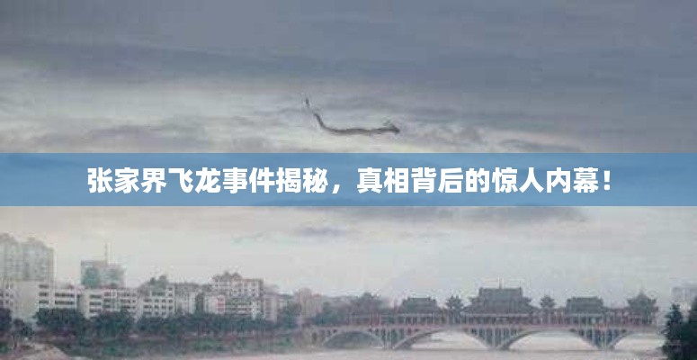 張家界飛龍事件揭秘，真相背后的驚人內(nèi)幕！