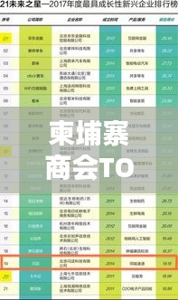 柬埔寨商會(huì)TOP10榜單揭曉，揭秘排名前十的商會(huì)！