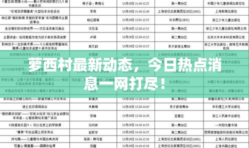 蘿西村最新動態(tài)，今日熱點消息一網(wǎng)打盡！