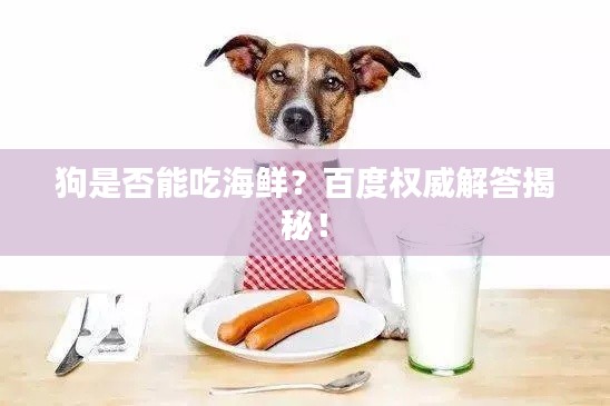 狗是否能吃海鮮？百度權(quán)威解答揭秘！