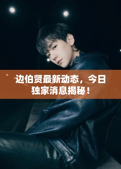 邊伯賢最新動態(tài)，今日獨家消息揭秘！