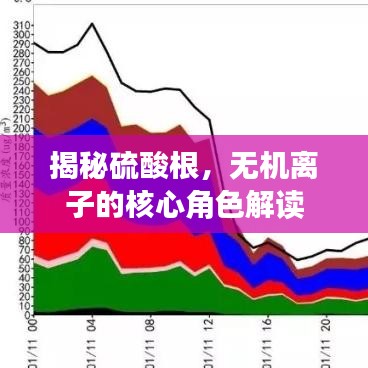 揭秘硫酸根，無機離子的核心角色解讀