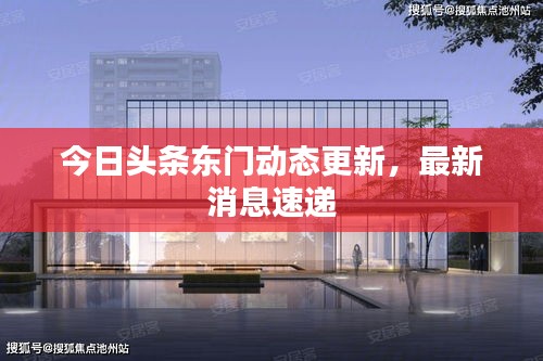 今日頭條東門(mén)動(dòng)態(tài)更新，最新消息速遞
