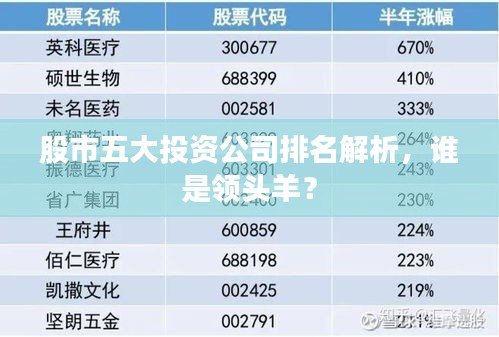 股市五大投資公司排名解析，誰(shuí)是領(lǐng)頭羊？