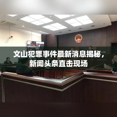 文山犯罪事件最新消息揭秘，新聞頭條直擊現(xiàn)場