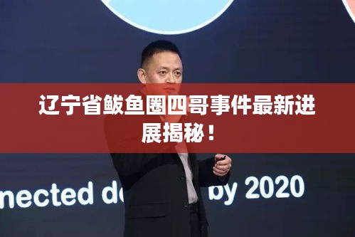 遼寧省鲅魚圈四哥事件最新進(jìn)展揭秘！