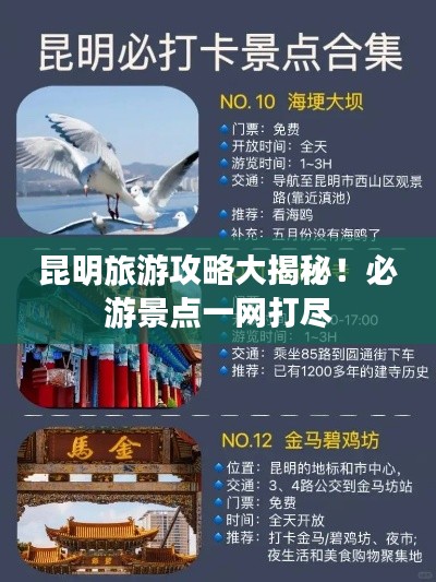 昆明旅游攻略大揭秘！必游景點(diǎn)一網(wǎng)打盡