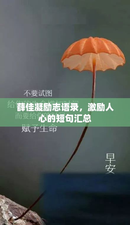 薛佳凝勵志語錄，激勵人心的短句匯總