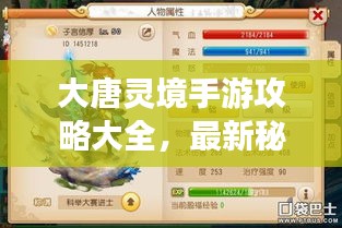 大唐靈境手游攻略大全，最新秘籍揭秘！