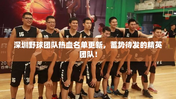 深圳野球團(tuán)隊(duì)熱血名單更新，蓄勢(shì)待發(fā)的精英團(tuán)隊(duì)！