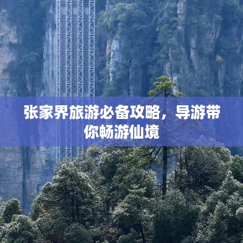 張家界旅游必備攻略，導游帶你暢游仙境