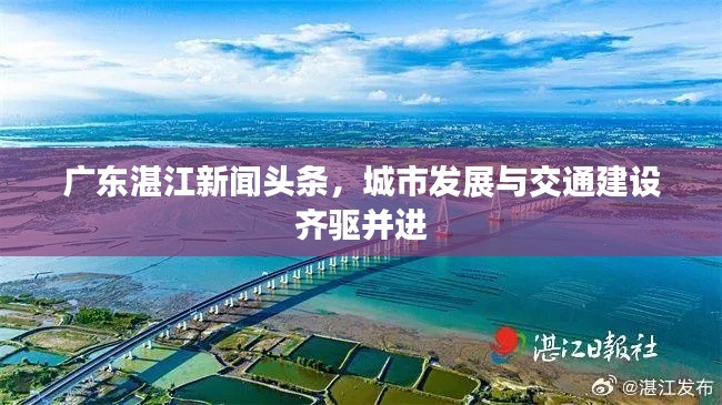 鄭重其事 第2頁(yè)